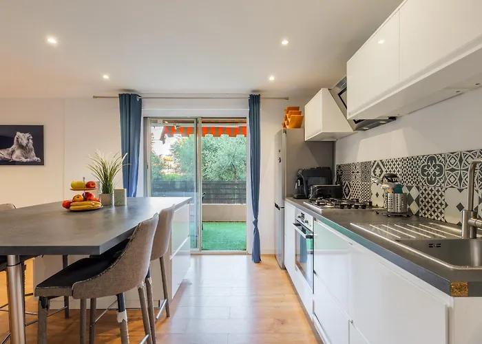 Grand 2 Pieces Et Belle Terrasse Ensoleillee Niza